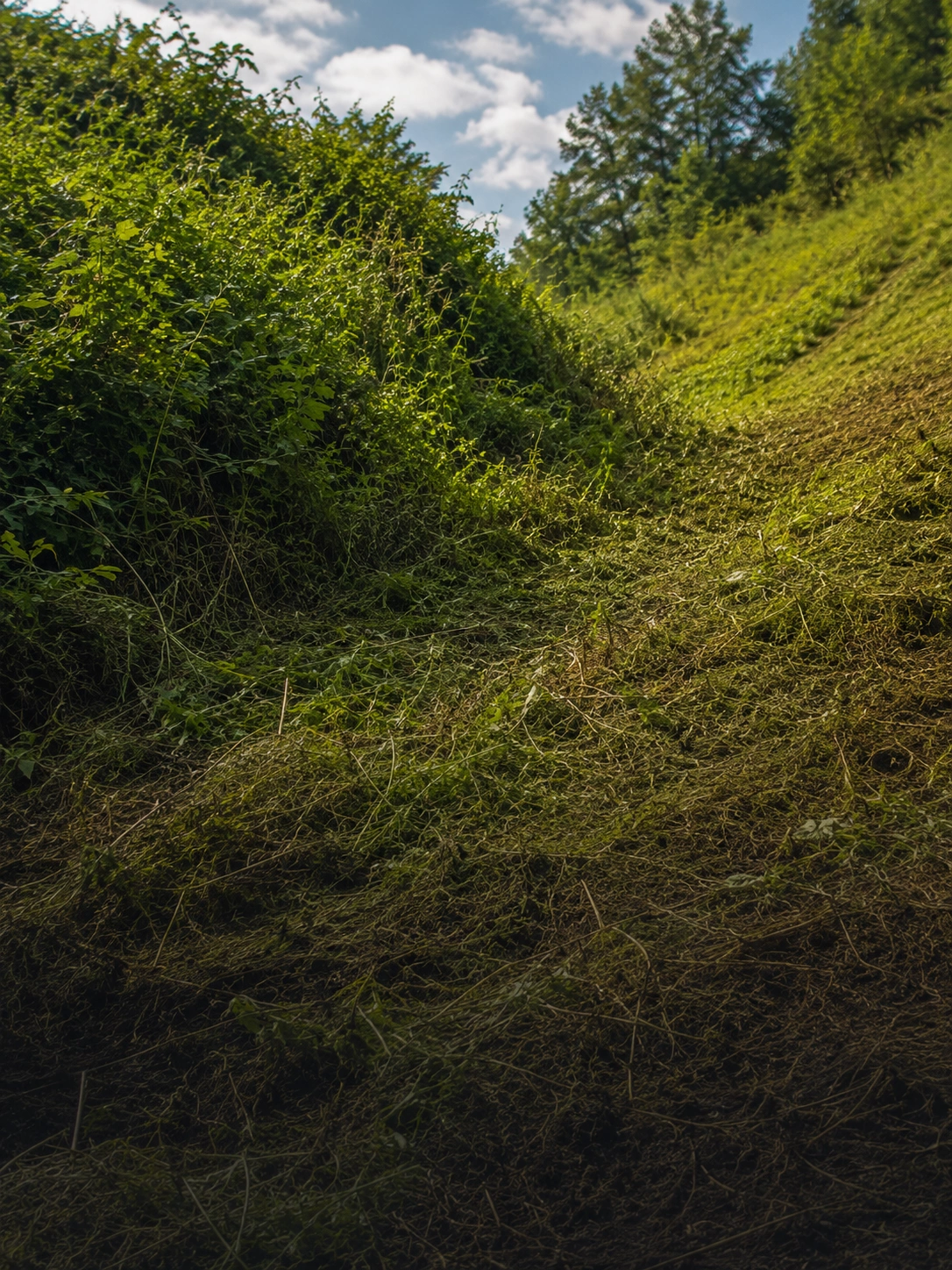 Wild brush cutting mower